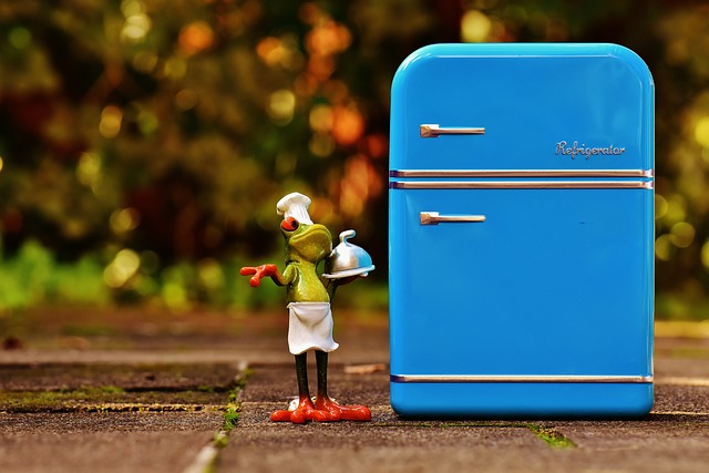 Køleskabets sundhedseffekter: Hvordan dit køleskab kan påvirke din sundhed