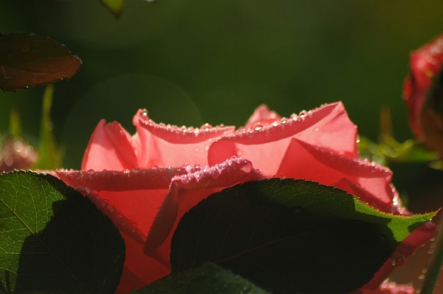 Black friday: Fem ting du ikke vidste om udsalgsfesten post thumbnail image